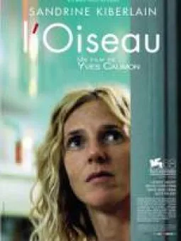 L'Oiseau